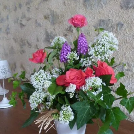 Renove Avec Jardin Clos, Proche Plages, Wifi, Parking Pour Voiture Electrique - Fr-1-426-164 *