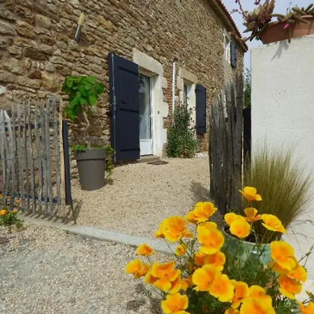 Renove Avec Jardin Clos, Proche Plages, Wifi, Parking Pour Voiture Electrique - Fr-1-426-164 Σπίτι διακοπών