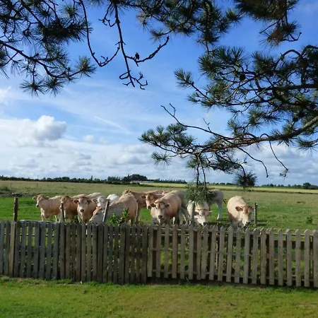 Holiday home Renove Avec Jardin Clos, Proche Plages, Wifi, Parking Pour Voiture Electrique - Fr-1-426-164