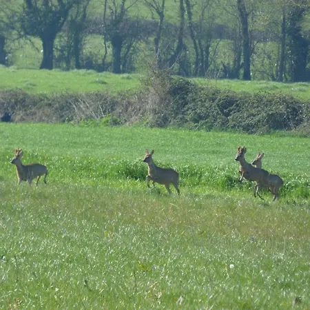 Σπίτι διακοπών Renove Avec Jardin Clos, Proche Plages, Wifi, Parking Pour Voiture Electrique - Fr-1-426-164 Le Bernard