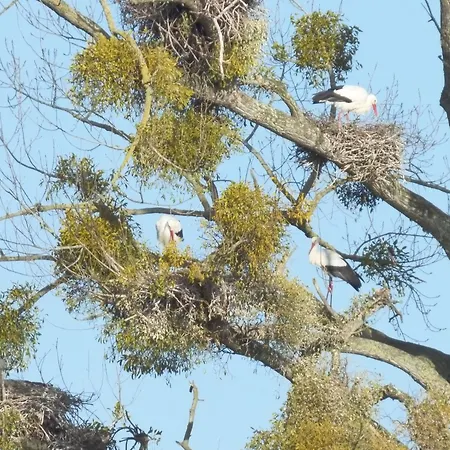 Renove Avec Jardin Clos, Proche Plages, Wifi, Parking Pour Voiture Electrique - Fr-1-426-164 Holiday home *