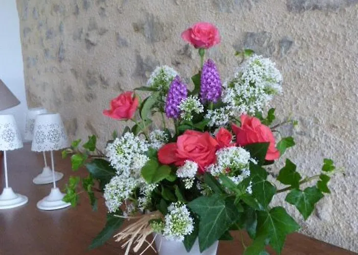 Renove Avec Jardin Clos, Proche Plages, Wifi, Parking Pour Voiture Electrique - Fr-1-426-164 *