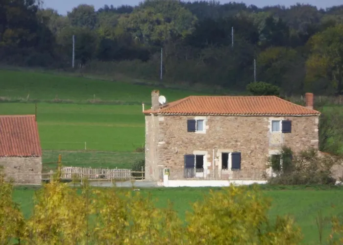 Renove Avec Jardin Clos, Proche Plages, Wifi, Parking Pour Voiture Electrique - Fr-1-426-164 * Le Bernard