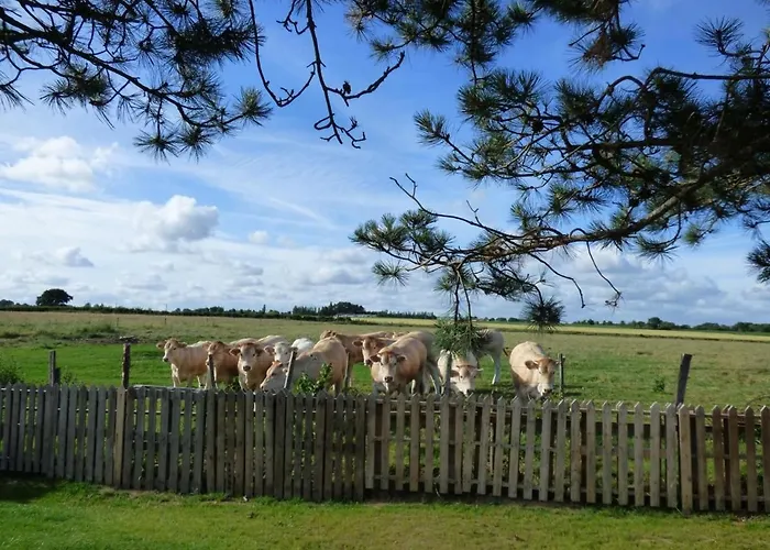 Casa de Férias Renove Avec Jardin Clos, Proche Plages, Wifi, Parking Pour Voiture Electrique - Fr-1-426-164